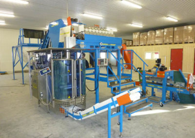 Packaging line with Newtec weigher. Jasa vertical bagger and EMVE semi-automatic Sealing line SMPN.