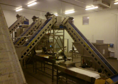 Flexible feeding from size grader to cutting line and different packaging machines